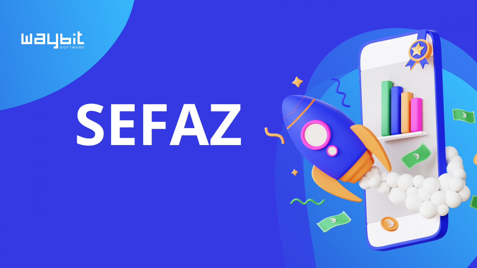 SEFAZ - entenda de vez sobre o assunto 
